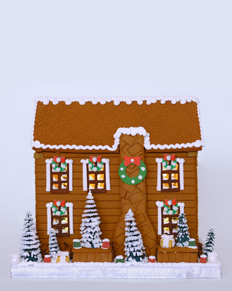Brown Christmas Manor with lights