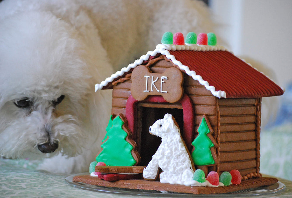 Dog House