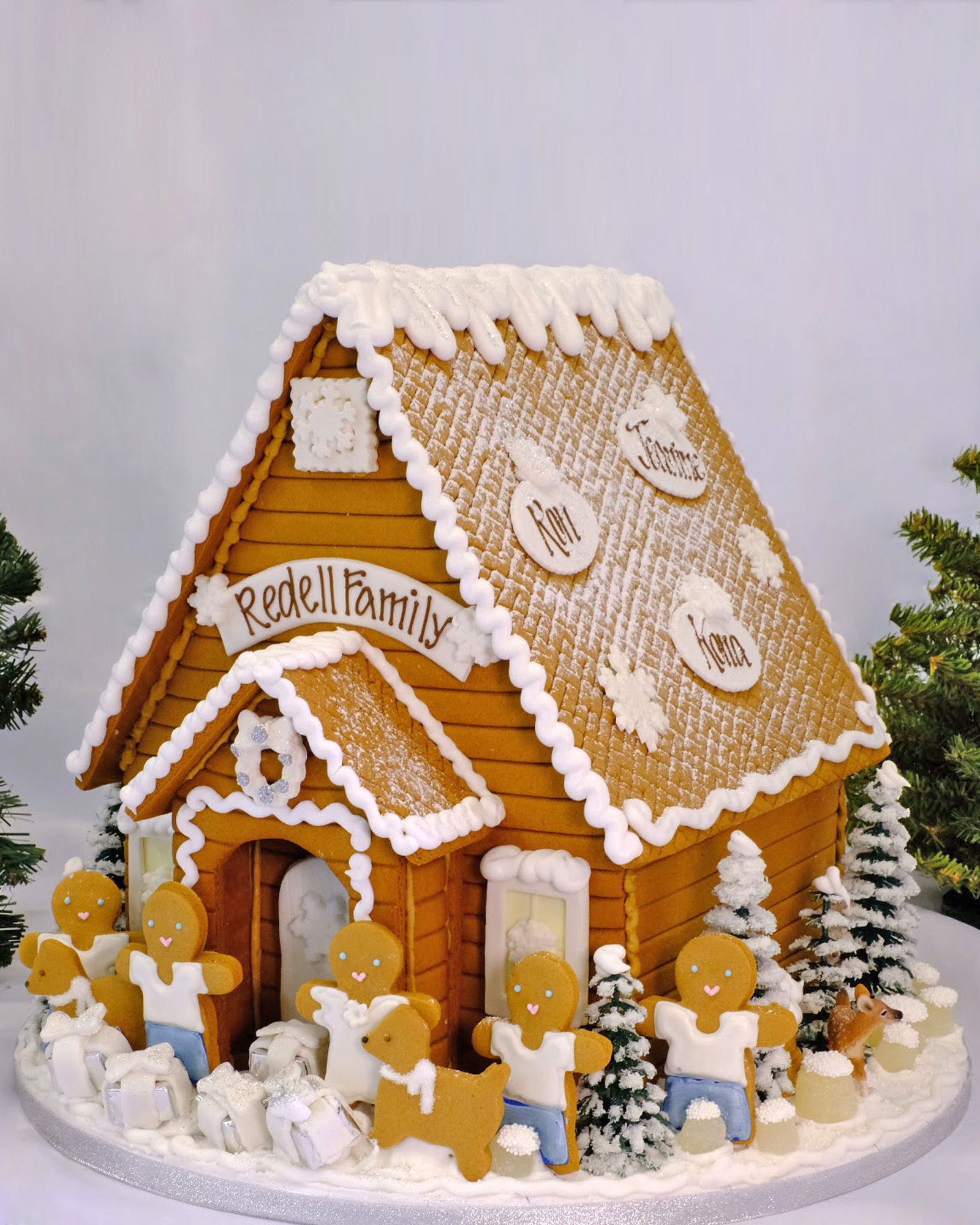 Winter White Large House - Main Image